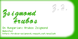 zsigmond hrubos business card